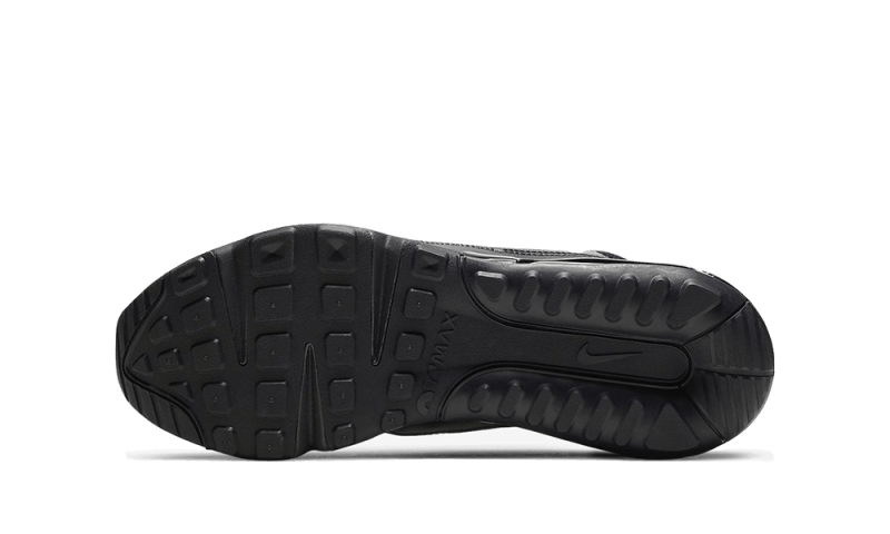 Air Max 2090 Betrue Black/Grey