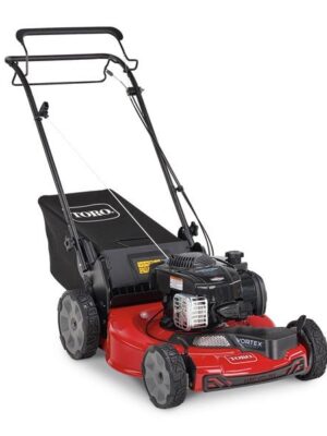Toro Recycler FWD Mower 150cc Briggs & Stratton 6.25 TP (22″) #21442
