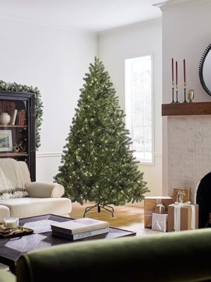 91-HfnqMq-L._AC_SX679