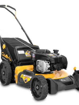 Cub Cadet SCP100 (21″) 140cc Briggs Push Lawn Mower