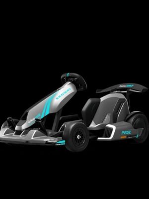 Segway GoKart Pro 2