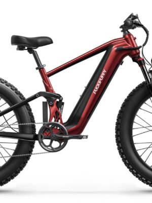 PUCKIPUPPY GoldenR Dual-Motor E-Bike