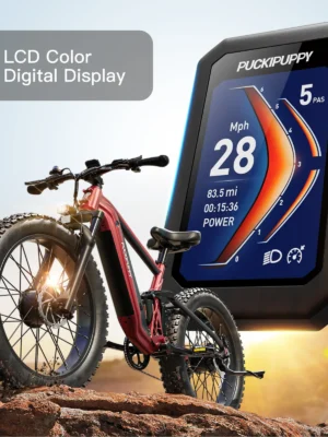 5_b5fa7d38-42f7-4836-b47d-ea83d4ed2f97