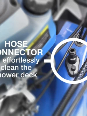 71QVGq9IaQL._AC_SL1500_