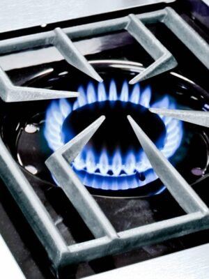 Broil King Regal S 590 Pro Gas Grill BK95834