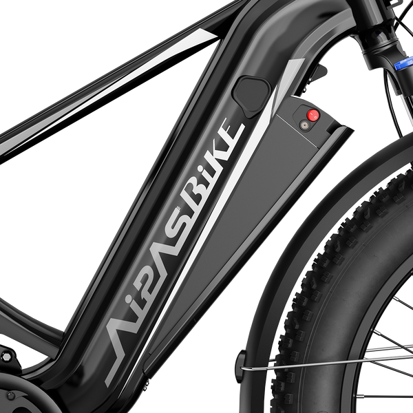 Aipas M2 Xterrain Ebike Aipas-M2-black Basket