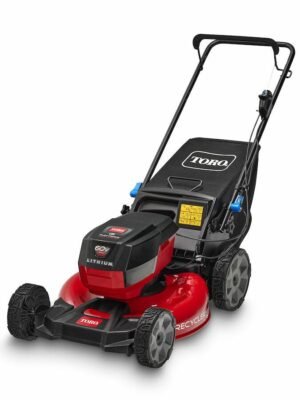 21 in. (53 cm) Recycler® Self-Propel Gas Lawn Mower