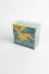 Acrylic Case Display for Pokémon Elite Trainer Box